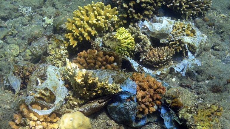 Plastikmüll am Korallenriff